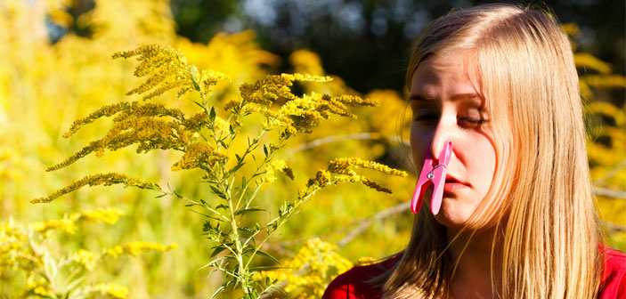 Allergi plager mere end en million danskere